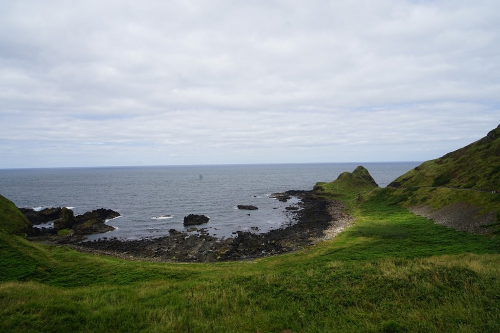 DSC00464.jpg