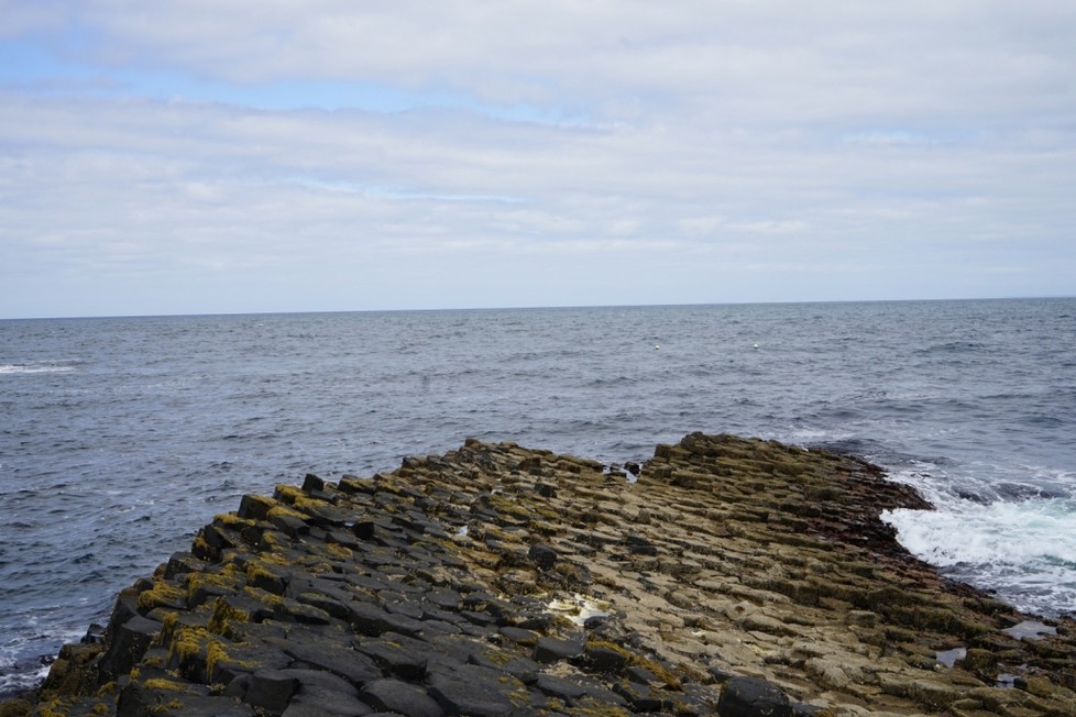DSC00480.jpg