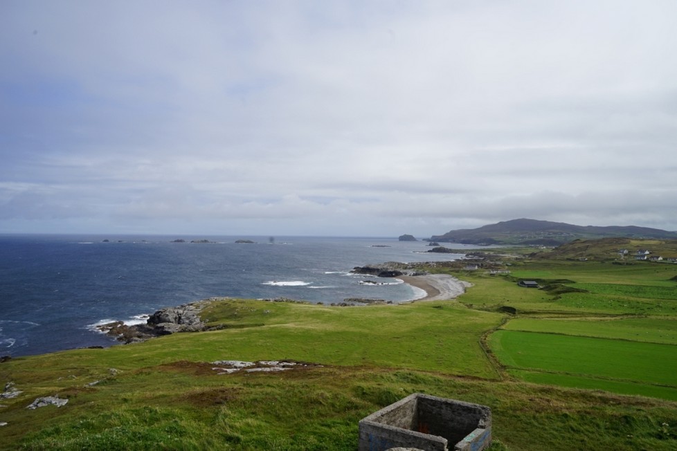 DSC00570.jpg