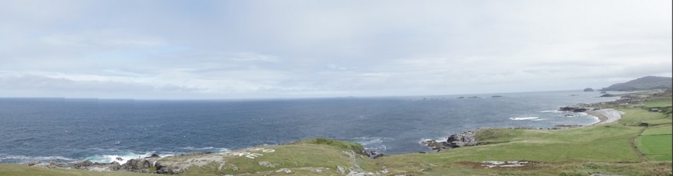 DSC00571.jpg