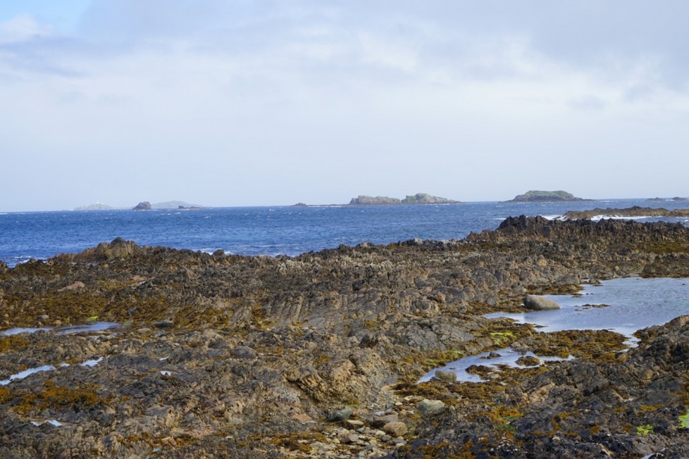 DSC00583.jpg