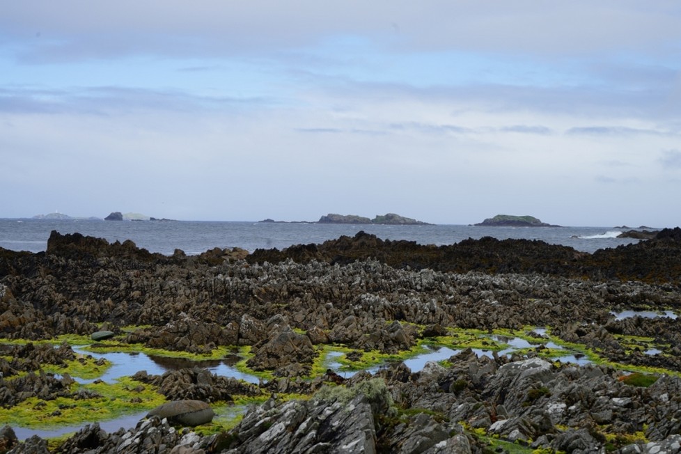 DSC00597.jpg