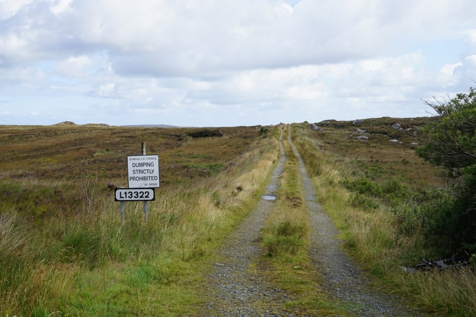 DSC00624.jpg