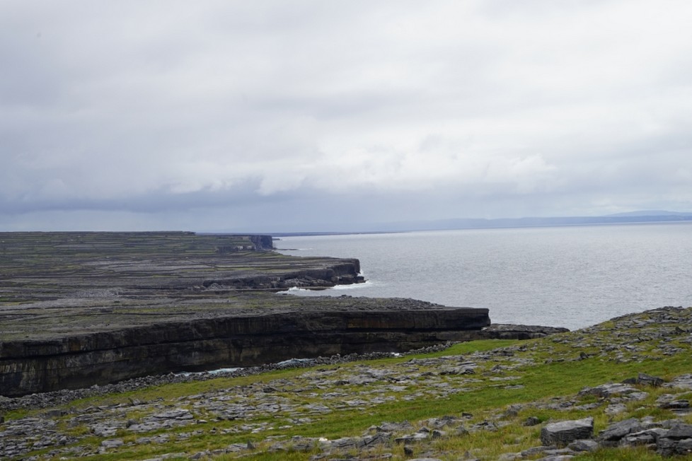 DSC00758.jpg