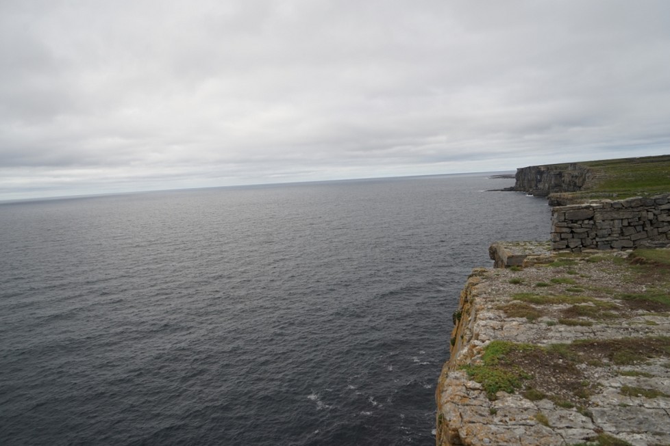 DSC00774.jpg