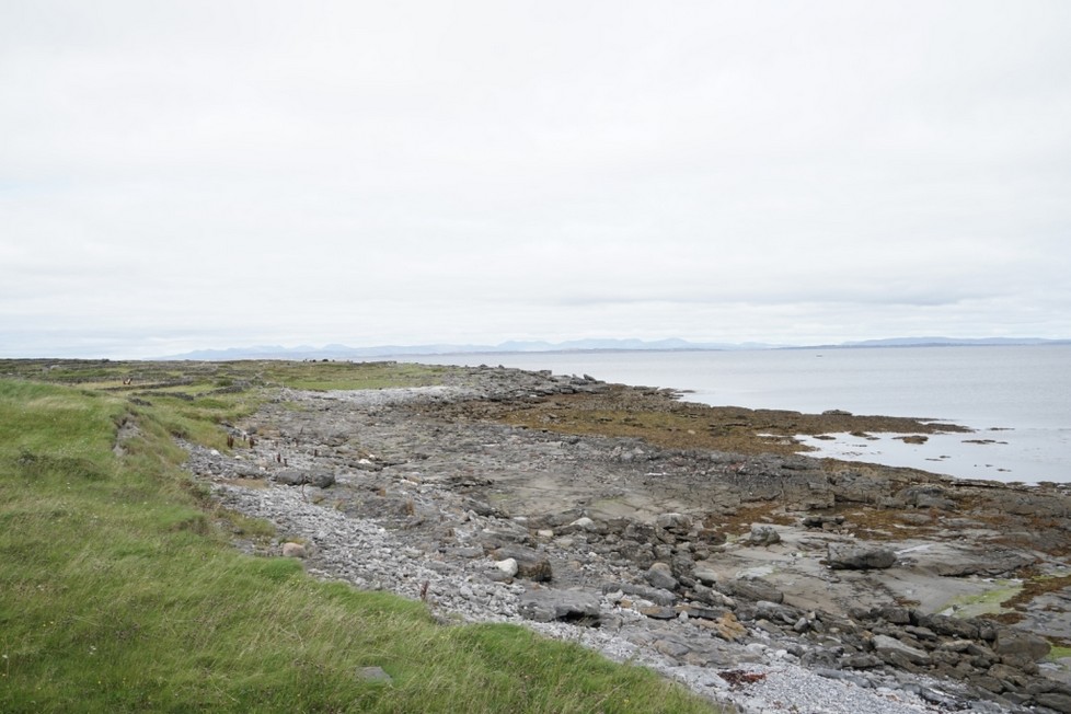 DSC00797.jpg