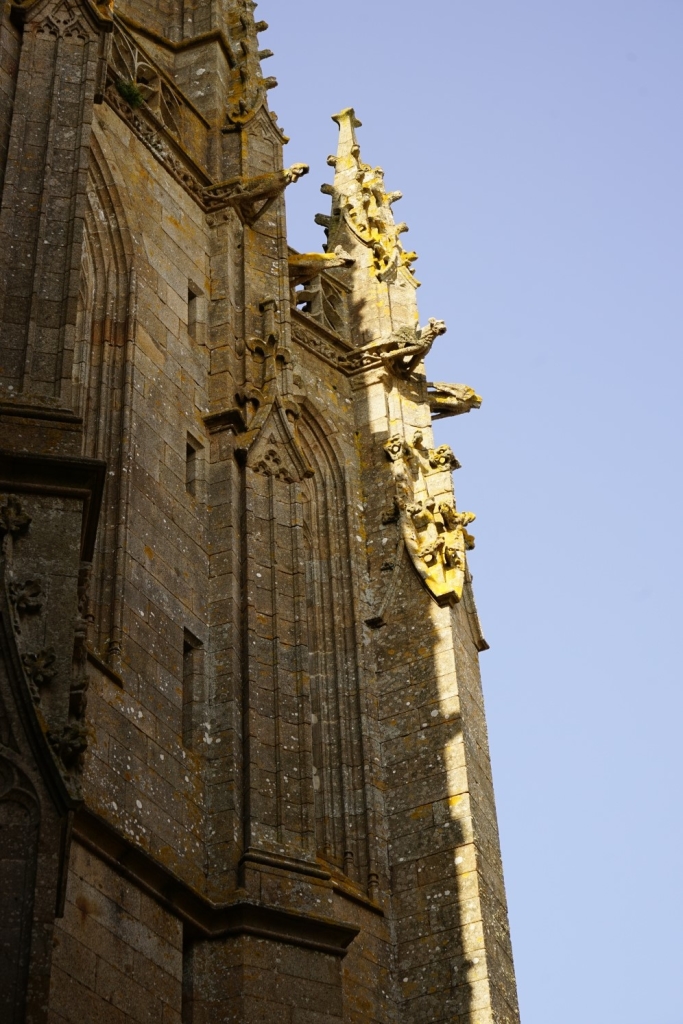 DSC00948.jpg
