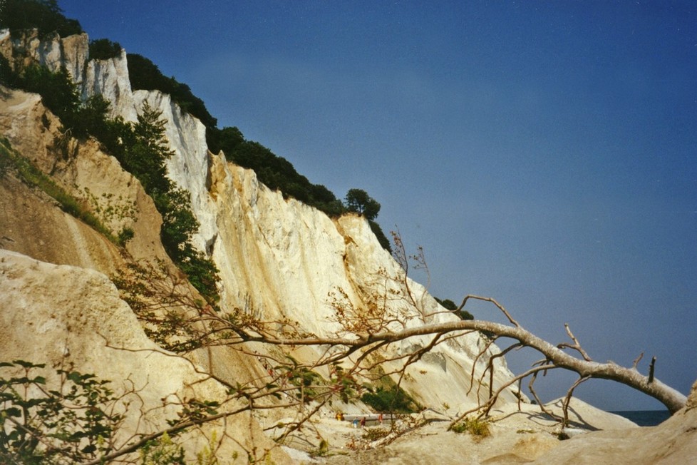 31-mons-klint.jpg