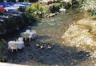 FOTO 346.jpg