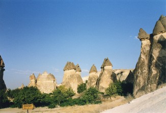 FOTO 416.jpg