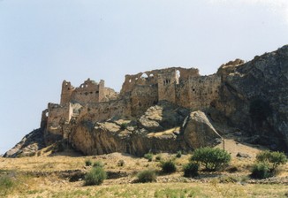 FOTO 489.jpg