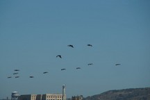 0037_D.jpg