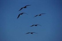 0049_D.jpg