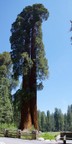 0239_pa.jpg
