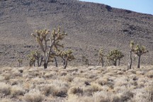0352_D.jpg