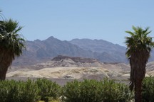 0373_D.jpg