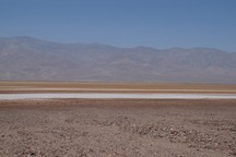 0385_D.jpg