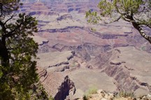 0583_D.jpg