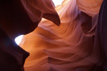 0643_D.jpg