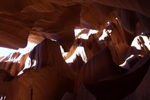 0655_D.jpg