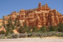 0709_D.jpg