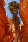 0727_D.jpg
