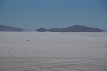 0736_D.jpg