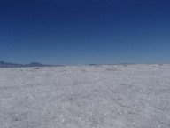 0739_P.jpg