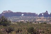 0769_D.jpg
