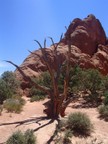 0782_P.jpg