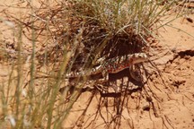 0796_D.jpg