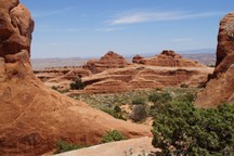 0805_D.jpg