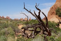 0808_D.jpg