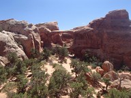 0832_P.jpg