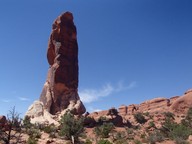 0847_P.jpg