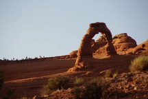 0856_D.jpg