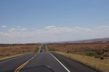 0889_D.jpg
