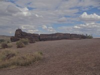 0994_P.jpg