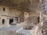 1099_P.jpg