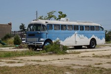 1279_D.jpg