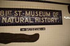 1891_D.jpg